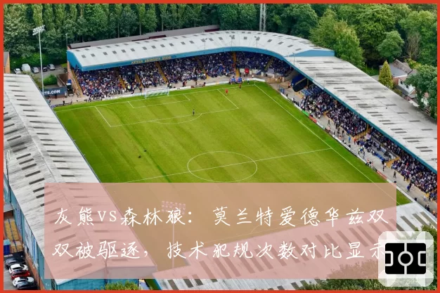 灰熊vs森林狼：莫兰特爱德华兹双双被驱逐，技术犯规次数对比显示裁判哨偏松倾向