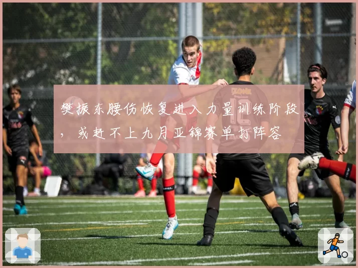 樊振东腰伤恢复进入力量训练阶段,或赶不上九月亚锦赛单打阵容