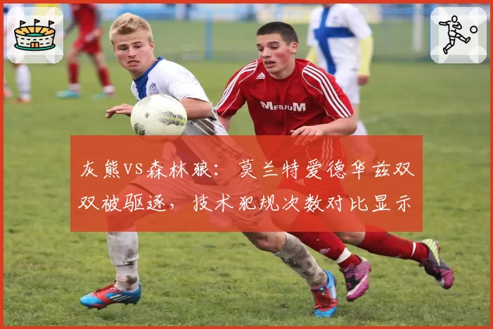 灰熊vs森林狼：莫兰特爱德华兹双双被驱逐，技术犯规次数对比显示裁判哨偏松倾向