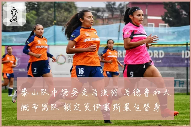 泰山队中场要走马换将 马德鲁加大概率离队 锁定莫伊塞斯最佳替身