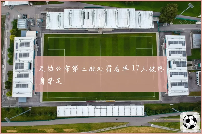 足协公布第三批处罚名单 17人被终身禁足