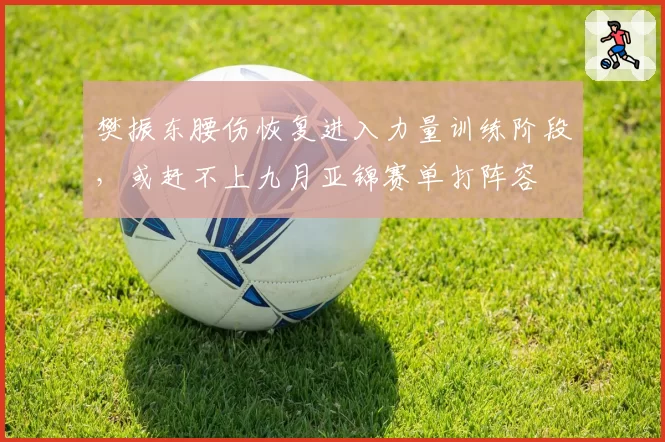 樊振东腰伤恢复进入力量训练阶段,或赶不上九月亚锦赛单打阵容